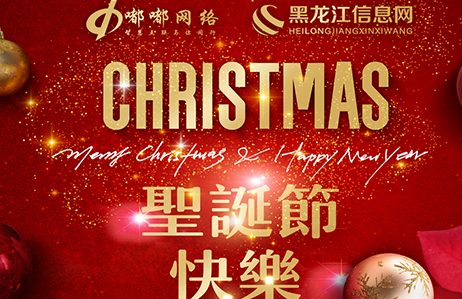 哈尔滨双鸭山网络公司您圣诞快乐！